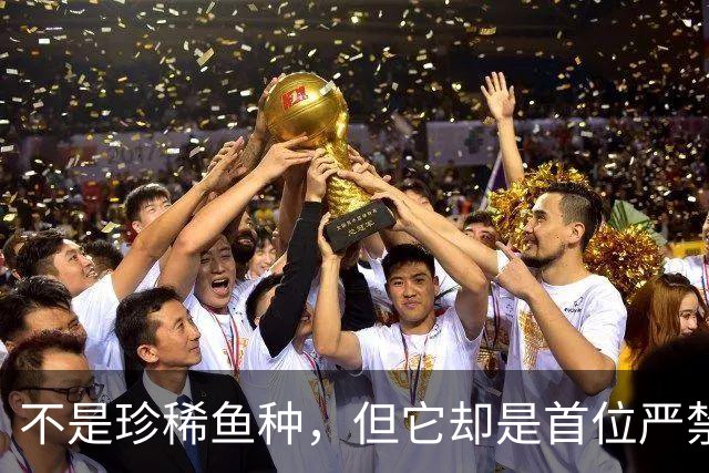 不是珍稀鱼种，但它却是首位严禁垂钓的鱼，鲢鳙的地位这么高？