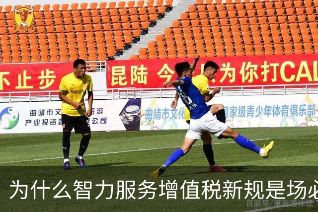 为什么智力服务增值税新规是场必要变革？