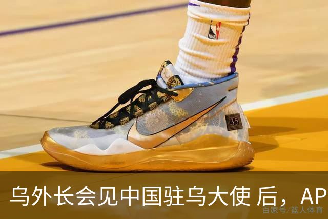 乌外长会见中国驻乌大使 后，APEC会议召开前，泽连斯基向我国喊话