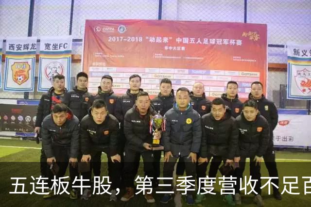 五连板牛股，第三季度营收不足百万，跌停开盘
