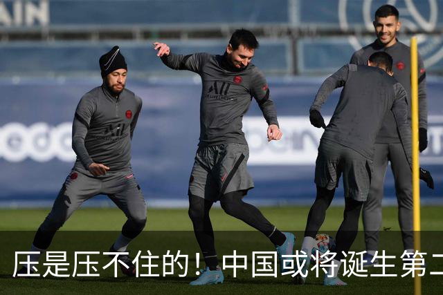 压是压不住的！中国或将诞生第二个华为