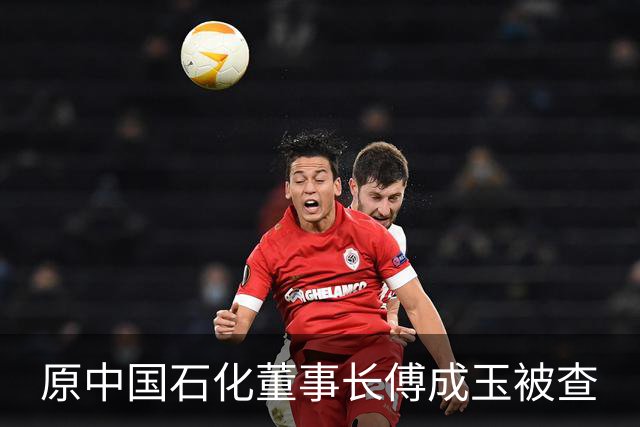 原中国石化董事长傅成玉被查