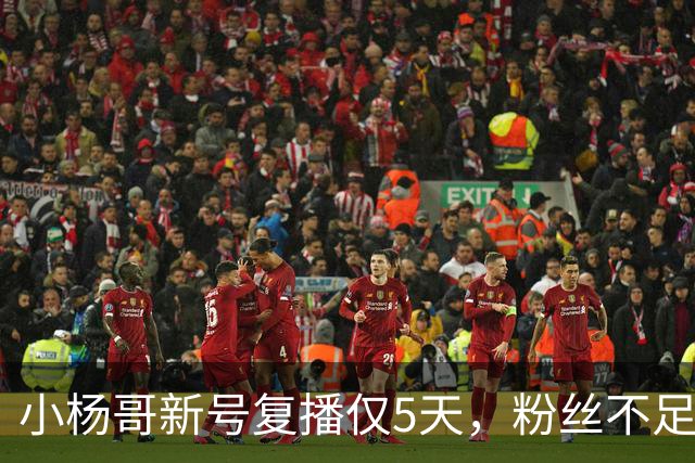 小杨哥新号复播仅5天，粉丝不足10万，直播间观看人数不到2000