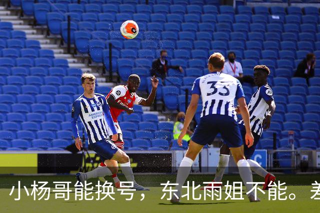 小杨哥能换号，东北雨姐不能。差的不只是罚了多少钱