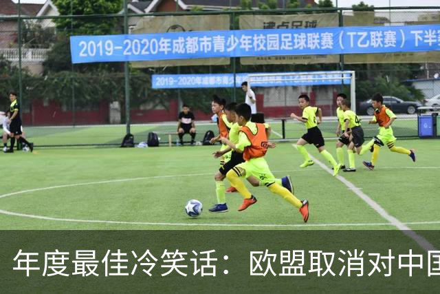 年度最佳冷笑话：欧盟取消对中国光伏玻璃收反倾销税