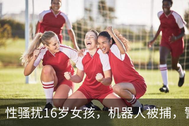 性骚扰16岁女孩，机器人被捕，警察懵了