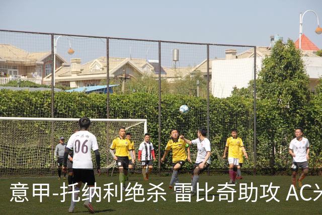 意甲-托纳利绝杀 雷比奇助攻 AC米兰2-1夺3连胜