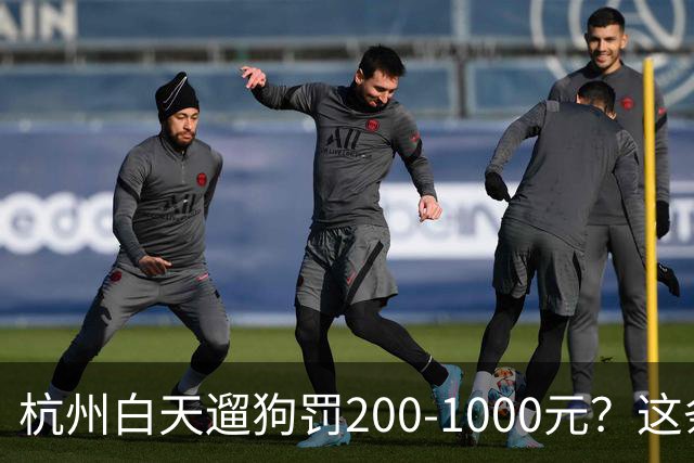 杭州白天遛狗罚200-1000元？这条规定 把养狗人和不养狗人都吵翻了