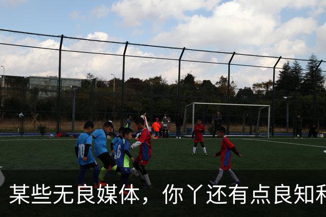 某些无良媒体，你丫还有点良知和节操吗？
