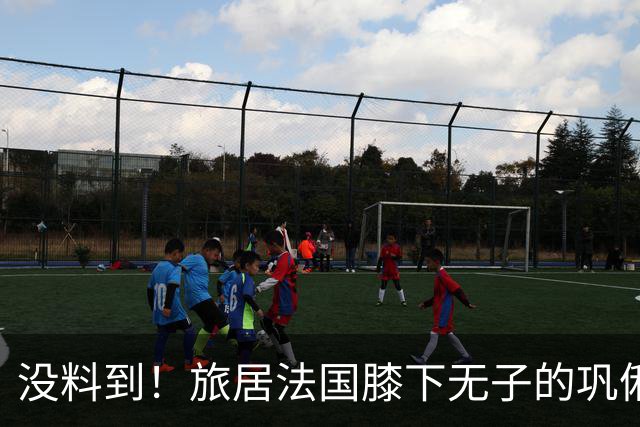 没料到！旅居法国膝下无子的巩俐，却给76岁的张艺谋攒下一副好牌