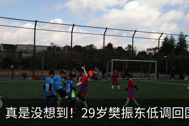 真是没想到！29岁樊振东低调回国仅1天，重返国乒风波再起！回不回国家队，王励勤早已把话挑明，球迷直呼看懂了