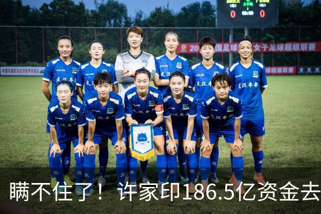 瞒不住了！许家印186.5亿资金去向曝光，不是转给丁玉梅，却是他