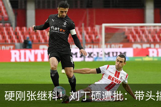 硬刚张继科！刘丁硕遭批：带头搞饭圈拉踩站队 公然与体育总局作对