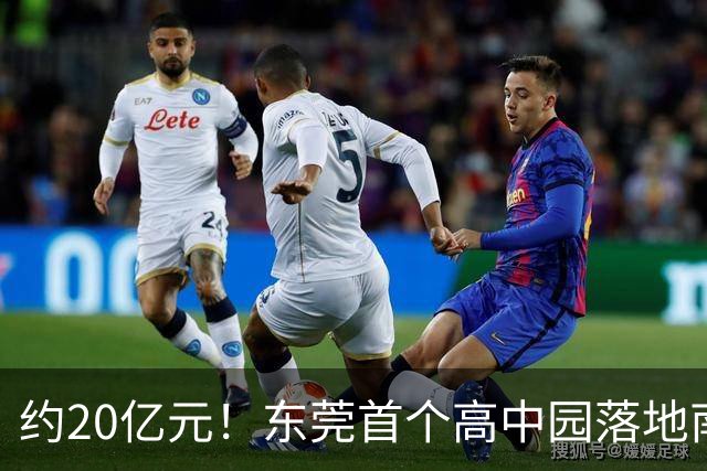 约20亿元！东莞首个高中园落地南城，一口气规划3所高中！