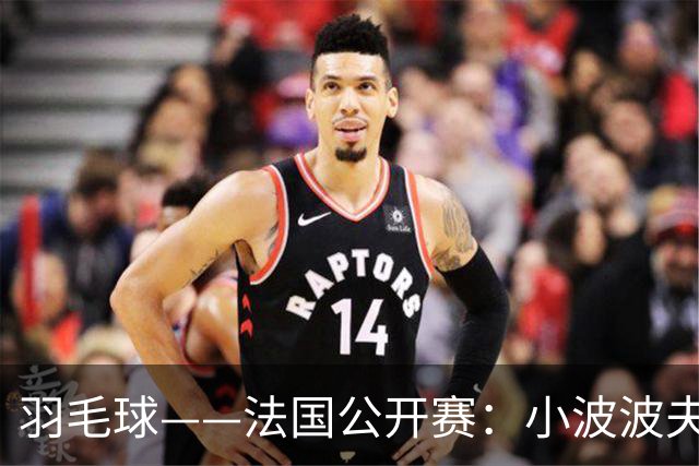 羽毛球——法国公开赛：小波波夫男单夺冠