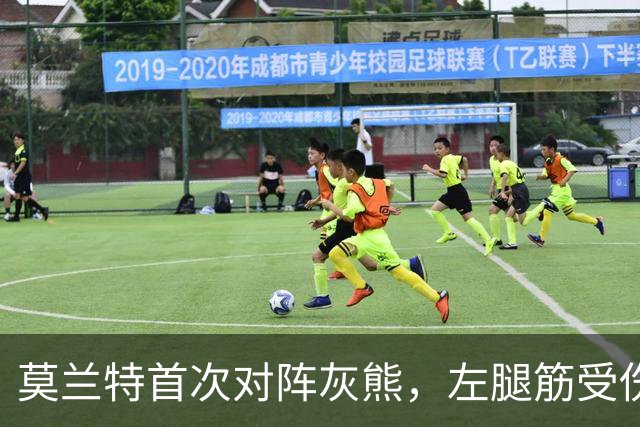 莫兰特首次对阵灰熊，左腿筋受伤提前离场