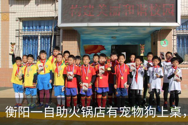 衡阳一自助火锅店有宠物狗上桌，商家：当天客人两倍退款，销毁所有餐具，停业消杀三天