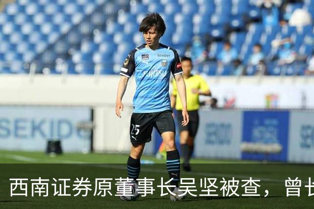 西南证券原董事长吴坚被查，曾长期执掌跨境业务