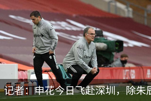 记者：申花今日飞赴深圳，除朱辰杰盖伊等伤员外几乎全员出征