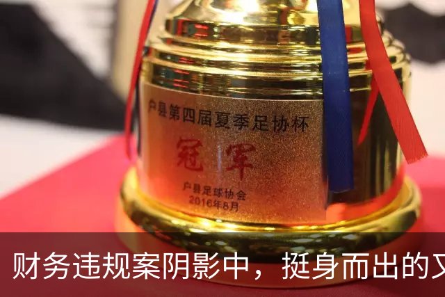 财务违规案阴影中，挺身而出的又是哈兰德