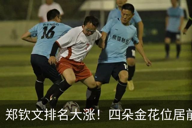 郑钦文排名大涨！四朵金花位居前一百