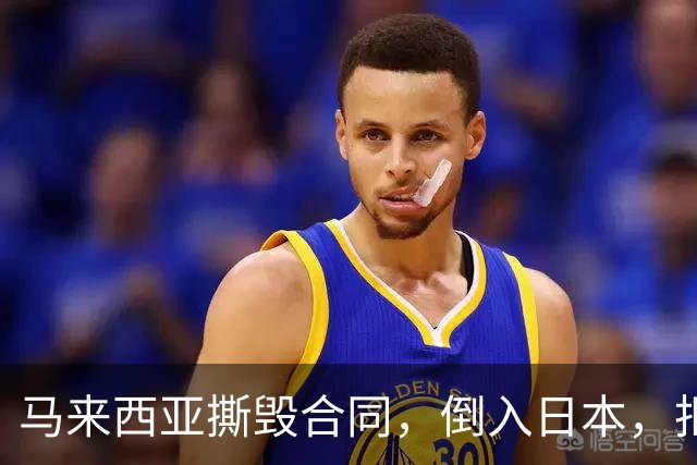 马来西亚撕毁合同，倒入日本，拒赔中国361亿违约金，结果如何？