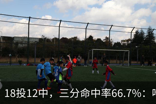18投12中，三分命中率66.7%：哈登米切尔喂出的新武器