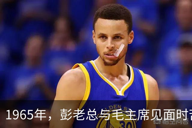 1965年，彭老总与毛主席见面时苦涩说道：我无事不登三宝殿！