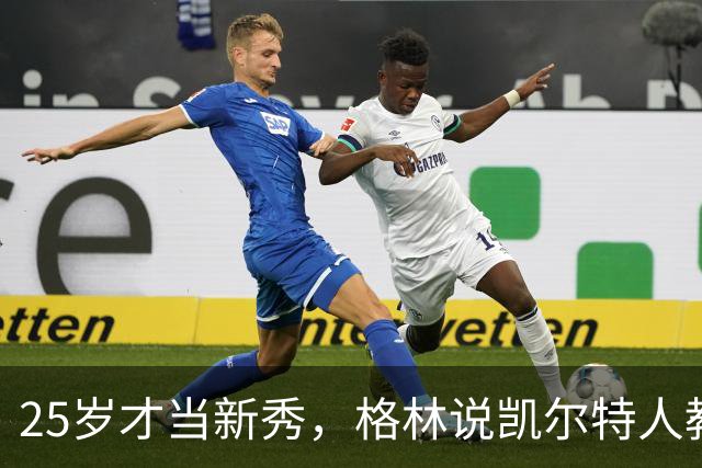 25岁才当新秀，格林说凯尔特人教会他适应联盟