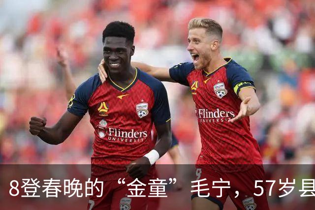 8登春晚的“金童”毛宁，57岁县城唱《涛声依旧》，早已无人问津